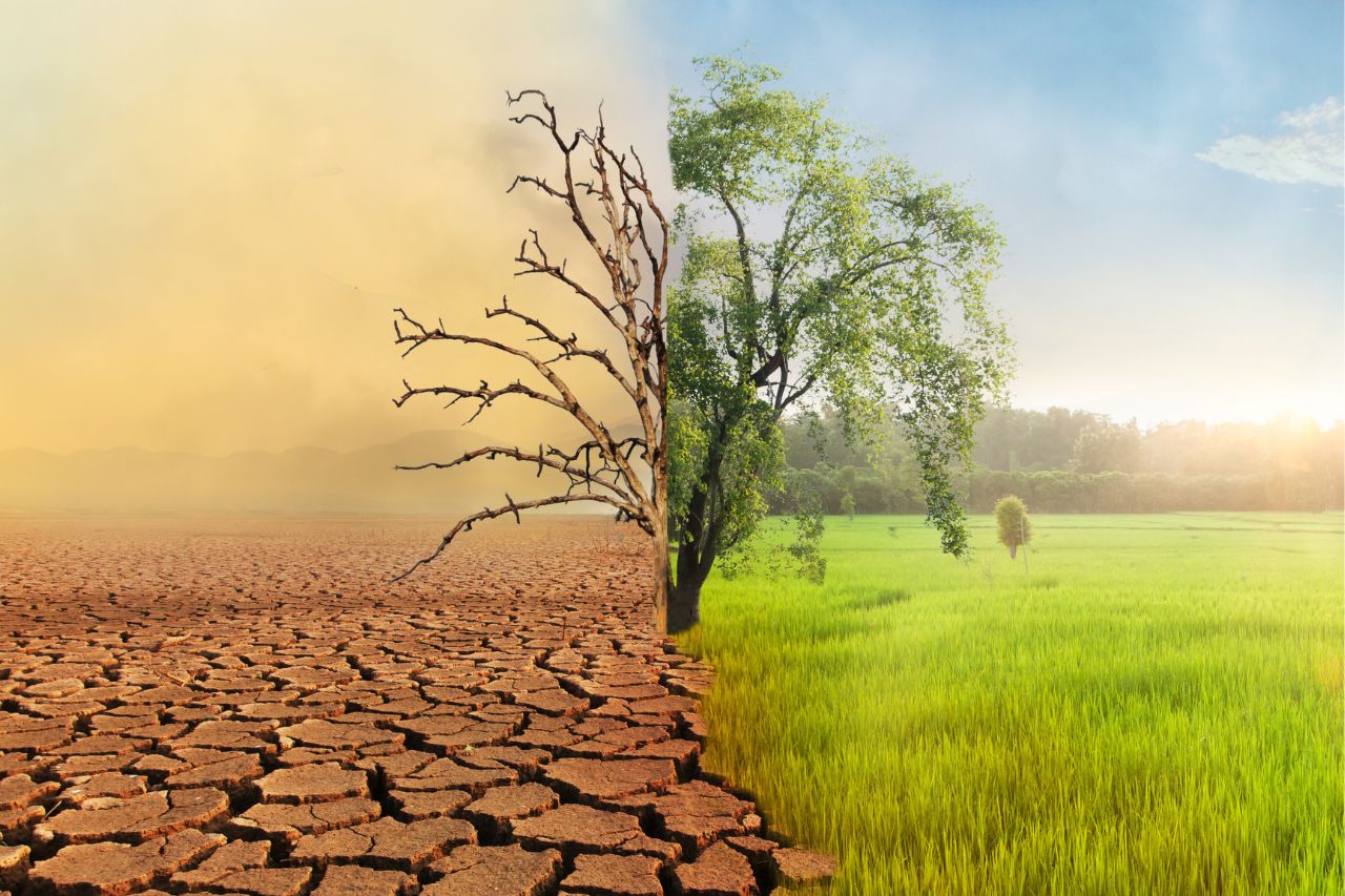 El impacto de la crisis climática en la producción de alimentos en Honduras