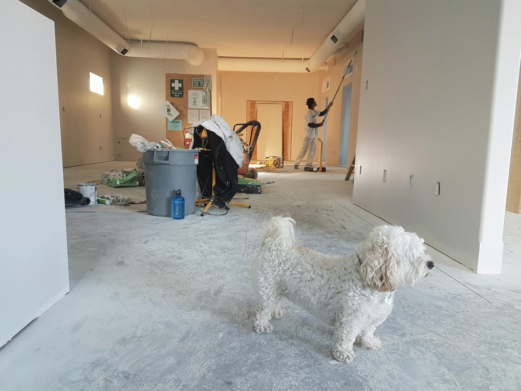 Crédito hipotecario para adquirir una segunda vivienda en Insurgentes Sur (Ciudad de México)