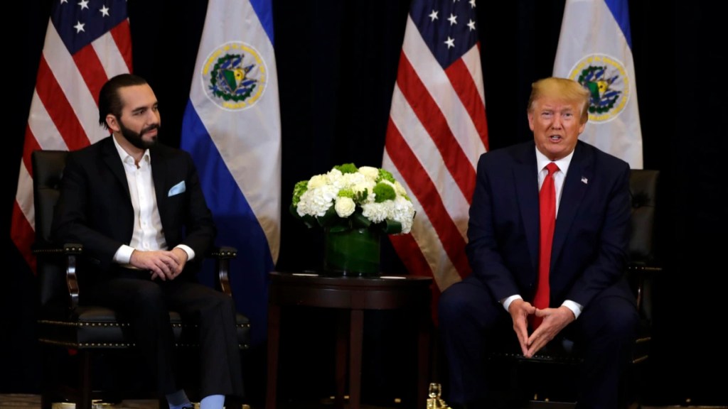 El impacto de América Latina en la política exterior de EE.UU. tras la victoria de Trump